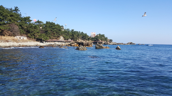 해안 산책로