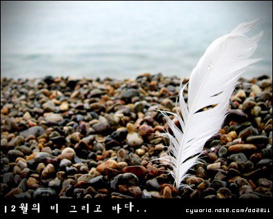 비내린 바다
